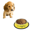 Stainless Steel Bowls, Anti-slip Colorful Paint Printed Pets Bowls, Bowl Diameter: 19.5 cm, Bowl Bottom Diameter: 22.5 cm(Yellow)