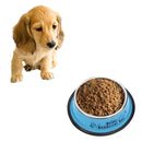 Stainless Steel Bowls, Anti-slip Colorful Paint Printed Pets Bowls, Bowl Diameter: 22.5 cm, Bowl Bottom Diameter: 29.5 cm(Blue)