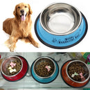 Stainless Steel Bowls, Anti-slip Colorful Paint Printed Pets Bowls, Bowl Diameter: 22.5 cm, Bowl Bottom Diameter: 29.5 cm(Blue)