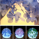 ML-824 100ML Gypsophila Flowers Aromatherapy Diffuser Air Humidifier with Colorful LED Light for Office / Home(Pink)