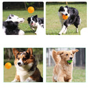 Pet Sounding Toy Hedgehog Ball Golden Retriever Molar Bite Resistant Tooth Toy for Large Pets, Medium, Diameter: 9cm, Random Color Delivery