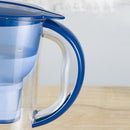 1.3L Portable Home Kitchen Activated Carbon Filter Cold Water Bottle(Blue)