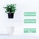 Lazy Flower Pots Automatic Water-absorbing Hydroponic Potted Plants Circular Resin Plastic Flower Pots Double-layer Design Self Watering Planter, Diameter: 11cm, Height: 10.3cm(White)