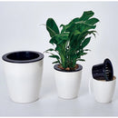 Lazy Flower Pots Automatic Water-absorbing Hydroponic Potted Plants Circular Resin Plastic Flower Pots Double-layer Design Self Watering Planter, Diameter: 11cm, Height: 10.3cm(White)