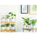 Lazy Flower Pots Automatic Water-absorbing Hydroponic Potted Plants Circular Resin Plastic Flower Pots Double-layer Design Self Watering Planter, Diameter: 18cm, Height: 18.5cm(White)