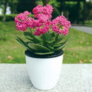Lazy Flower Pots Automatic Water-absorbing Hydroponic Potted Plants Circular Resin Plastic Flower Pots Double-layer Design Self Watering Planter, Diameter: 18cm, Height: 18.5cm(White)
