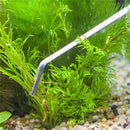 3 PCS Stainless Steel Scissors, Tweezers and Clip, Tree Plant Grass Miniatures Aquarium Fish Tank Landscape Trim Tools