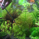 3 PCS Stainless Steel Scissors, Tweezers and Clip, Tree Plant Grass Miniatures Aquarium Fish Tank Landscape Trim Tools