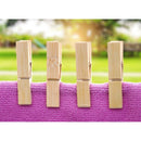 100 PCS Multi-function Mini Bamboo Clothes Photo Paper Peg Clothespin Laundry Hanger Clip