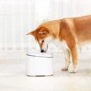 Original Xiaomi Youpin 2L Kitten Dog Pet Electric Pet Fountain Automatic Smart Pets Drinking Bowl, US Plug(White)