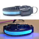Medium and Large Dog Pet Solar + USB Charging LED Light Collar, Neck Circumference Size: S, 35-40cm(Blue)