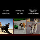 Medium and Large Dog Pet Solar + USB Charging LED Light Collar, Neck Circumference Size: S, 35-40cm(Blue)