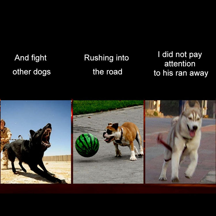 Medium and Large Dog Pet Solar + USB Charging LED Light Collar, Neck Circumference Size: S, 35-40cm(Blue)