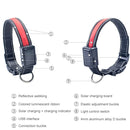 Medium and Large Dog Pet Solar + USB Charging LED Light Collar, Neck Circumference Size: L, 50-60cm(Blue)
