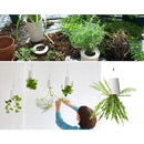 Hanging Plastic Flower Pots Garden Sky Planter Upside-Down Flower Pots Planters Green Plants Pot, Size: 13 x 9.5 x 9.5cm (S), Random Color Delivery