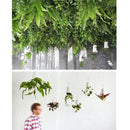 Hanging Plastic Flower Pots Garden Sky Planter Upside-Down Flower Pots Planters Green Plants Pot, Size: 13 x 9.5 x 9.5cm (S), Random Color Delivery