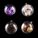 5 PCS Transparent Christmas Ball Hollow Plastic Sphere Ball Shaped Eternal Flower Ball Wedding Gifts Gift Box, Size: 5 x 5cm