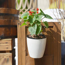 Self-Watering Planter Grow Plants Lazy Flower Pots Wall-hanging Round Resin Plastic Flower Pots, Size: 18x12.5x16cm(White)