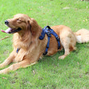 Tuffhound 1617S Adjustable Dog Harness Lead Leash Collar Belt,Size:S, (38-50)+(40-56)cm (Blue)