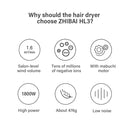 Original Xiaomi Youpin Zhibai 1800W Hair Dryer Mini Portable Anion 1800W 2 Speed Temperature Blow Dryer, US Plug(White)