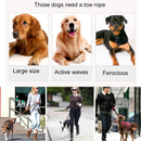 Pet Dogs Nylon Night Reflective Breathable Handheld Traction Lead Leash, Size: M, Adjustable Range: 2.5*(100-140cm)(Black)