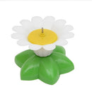 Electric Butterfly Flying Around The Flower Pet Cat Toy