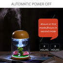 Imycoo WT602 2W Portable Mini Micro Landscape Design USB Charge Aromatherapy Air Humidifier with LED Colorful Light, Water Tank Capacity: 180ml, DC 5V(Yellow)