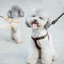 Pet Dog Collar + Harness + Leash Three Sets, S, Harness Chest Size: 34-50cm, Collar Neck Size: 24-35cm, Pet Weight: 8kg Below(Black)