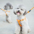 Pet Dog Collar + Harness + Leash Three Sets, S, Harness Chest Size: 34-50cm, Collar Neck Size: 24-35cm, Pet Weight: 8kg Below(Orange)