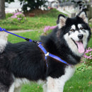 Pet Dog Collar + Harness + Leash Three Sets, M, Harness Chest Size: 43-67cm, Collar Neck Size: 33-52cm, Pet Weight: 15kg Below (Dark Blue)