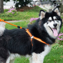 Pet Dog Collar + Harness + Leash Three Sets, M, Harness Chest Size: 43-67cm, Collar Neck Size: 33-52cm, Pet Weight: 15kg Below (Orange)