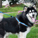 Pet Dog Collar + Harness + Leash Three Sets, M, Harness Chest Size: 43-67cm, Collar Neck Size: 33-52cm, Pet Weight: 15kg Below (Blue)