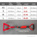 Pet Dog Collar + Harness + Leash Three Sets, M, Harness Chest Size: 43-67cm, Collar Neck Size: 33-52cm, Pet Weight: 15kg Below (Blue)