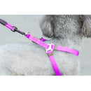 Pet Dog Collar + Harness + Leash Three Sets, M, Harness Chest Size: 43-67cm, Collar Neck Size: 33-52cm, Pet Weight: 15kg Below (Magenta)