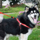 Pet Dog Collar + Harness + Leash Three Sets, M, Harness Chest Size: 43-67cm, Collar Neck Size: 33-52cm, Pet Weight: 15kg Below (Red)
