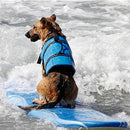 Pet Saver Dog Reflective Stripes Life Vest Jacket for Swimming Boating Surfing, Size: S (Pink Dot)