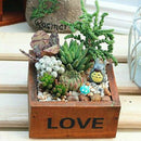 2PCS Plant Flower Flower Pot Flower Mini Box,Random Color Delivery