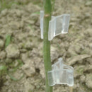 100 PCS Plant Grafting Gardening Plastic Grafting Folder Grafting Clip Transparent Gardening Plastic Grafting Clip Tomatoes Grafting Clips