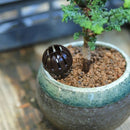10PCS Bonsai Tools Gardening Products Gardening Tools Bonsai Fertilizer Boxes,Small Size:4*2.5*2.5cm(Coffee color)