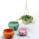 Hanging Plastic Flower Pots Hanging Pots Flower Pot With Hanging Chain,Large Size: 24 x 18cm ,Random Color Delivery
