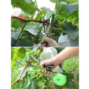 Agriculture Tape Tool Hand Tying Machine Garden Plant Tape Tool Tapener Machine Adhesive Tape Machine(Green)