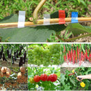 Agriculture Tape Tool Hand Tying Machine Garden Plant Tape Tool Tapener Machine Adhesive Tape Machine(Green)