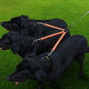TPU Material Pet Dogs 3 in 1 Tangle-free Traction Rope Double Pet Dog Walking Leash, Length: 25 cm(Orange)