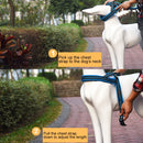 Pet Dogs A7 Reflective Polyester Chest Harness Lead Leash Traction Big Dogs Safety Chain Rope Collar, Size: L, 2.5*68*84cm (Blue)