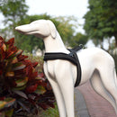 Pet Dogs A7 Reflective Polyester Chest Harness Lead Leash Traction Big Dogs Safety Chain Rope Collar, Size: S, 2.0*50*62cm (Black)