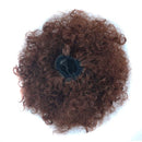 European and American Black People Explosion Head Fluffy Curl Hair Net Wig(Dark Brown)