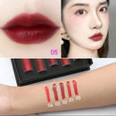 5 PCS / Set Retro Matte Lip Gloss Makeup Moistening Liquid Lipsticks