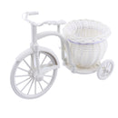 Livingroom Decor Flower Basket Wedding Decor Tricycle Bike Storage Plant Gift