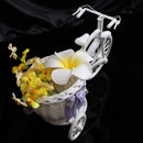 Livingroom Decor Flower Basket Wedding Decor Tricycle Bike Storage Plant Gift