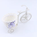 Livingroom Decor Flower Basket Wedding Decor Tricycle Bike Storage Plant Gift